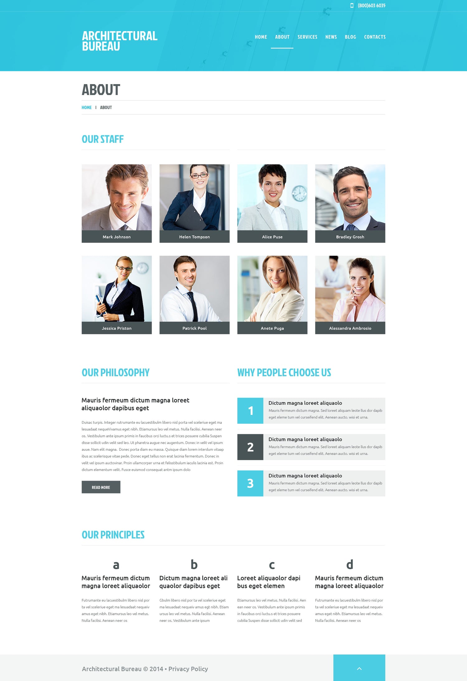 WordPress Themes - GoWebBaby.Com