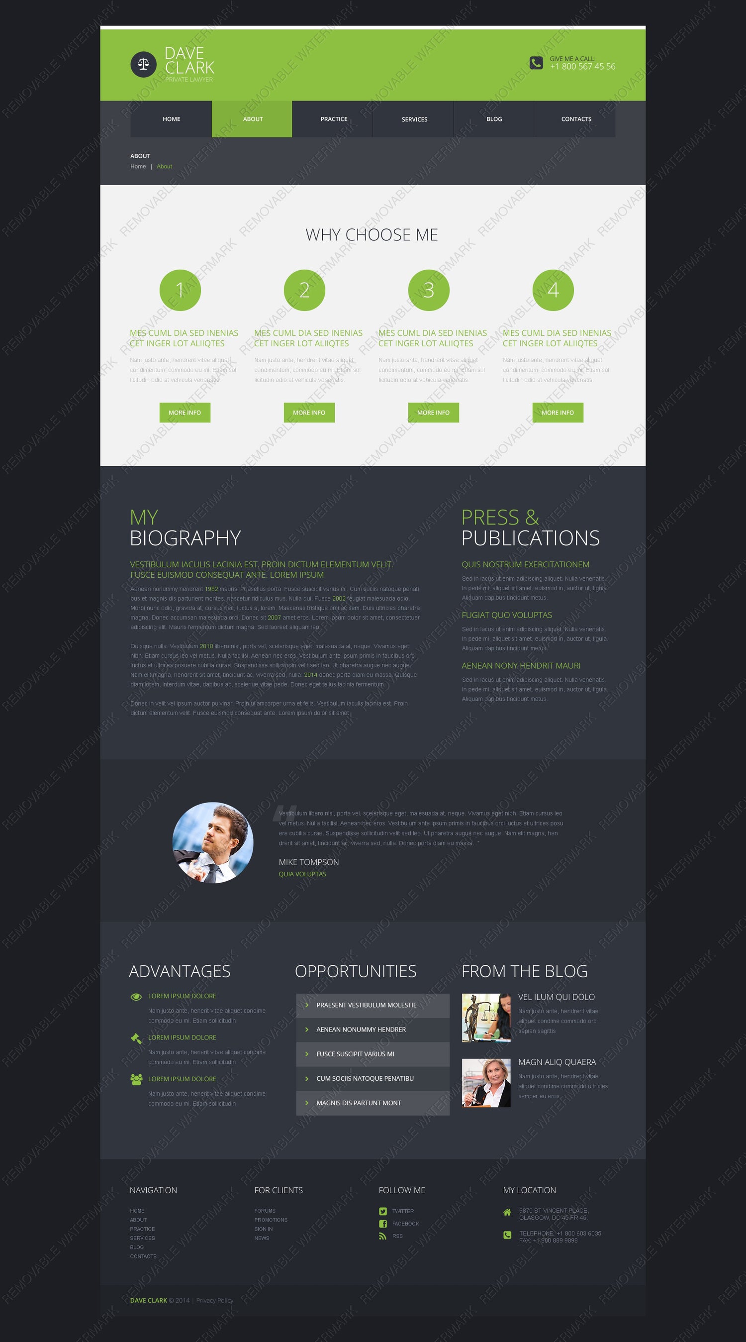 WordPress Themes - GoWebBaby.Com