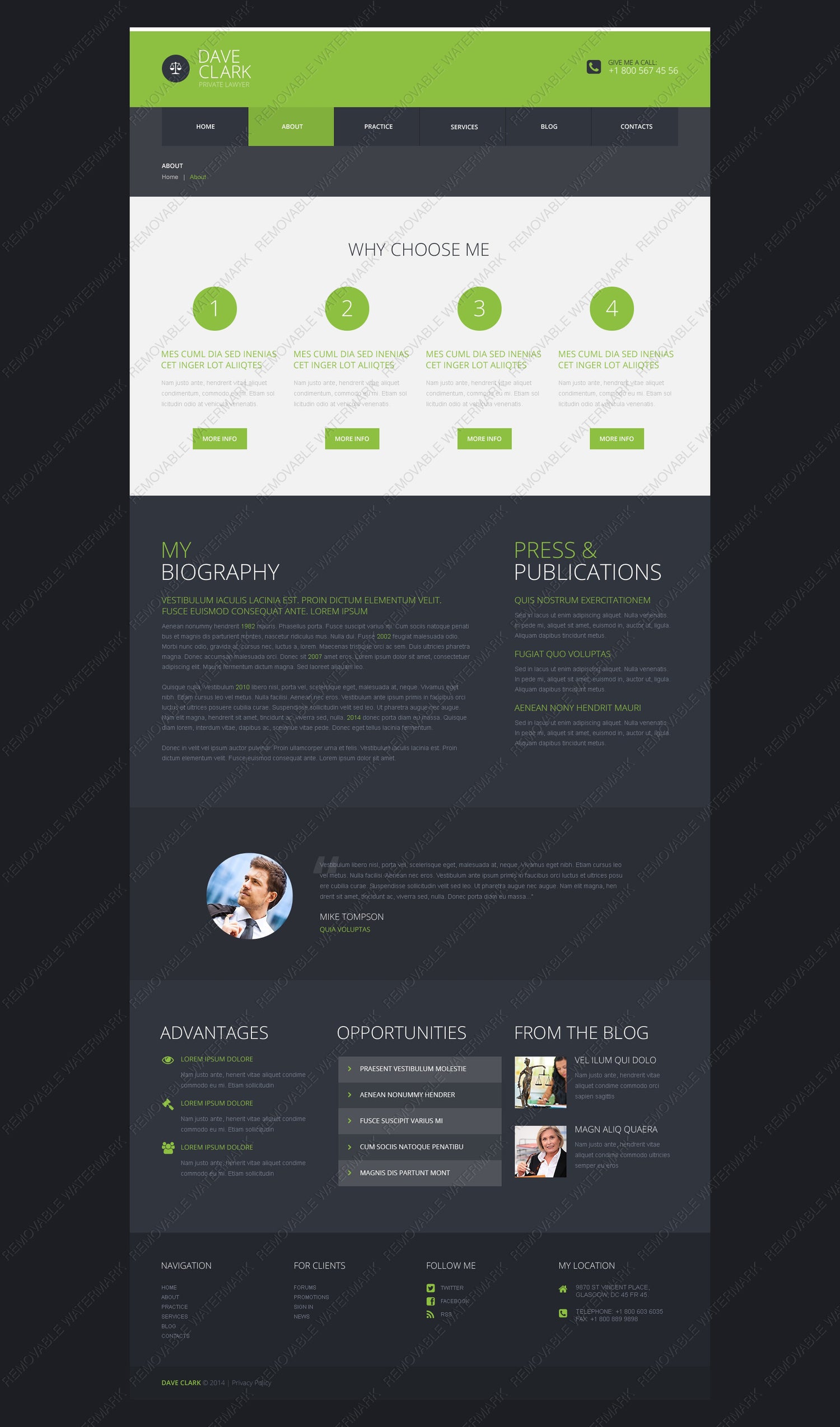 WordPress Themes - GoWebBaby.Com