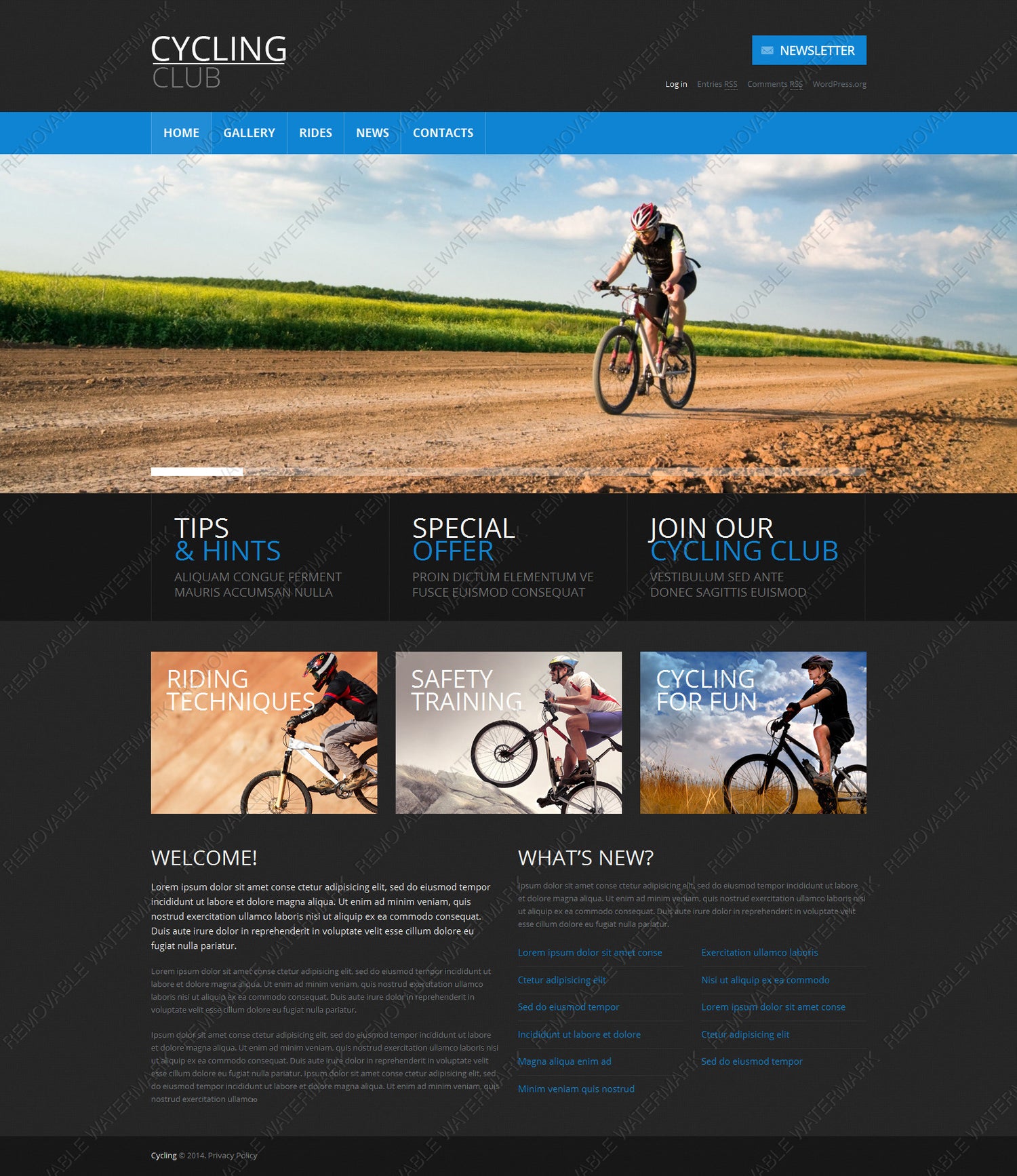 WordPress Themes - GoWebBaby.Com