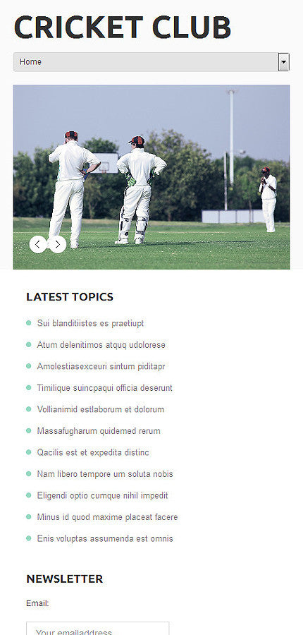 WordPress Themes - GoWebBaby.Com