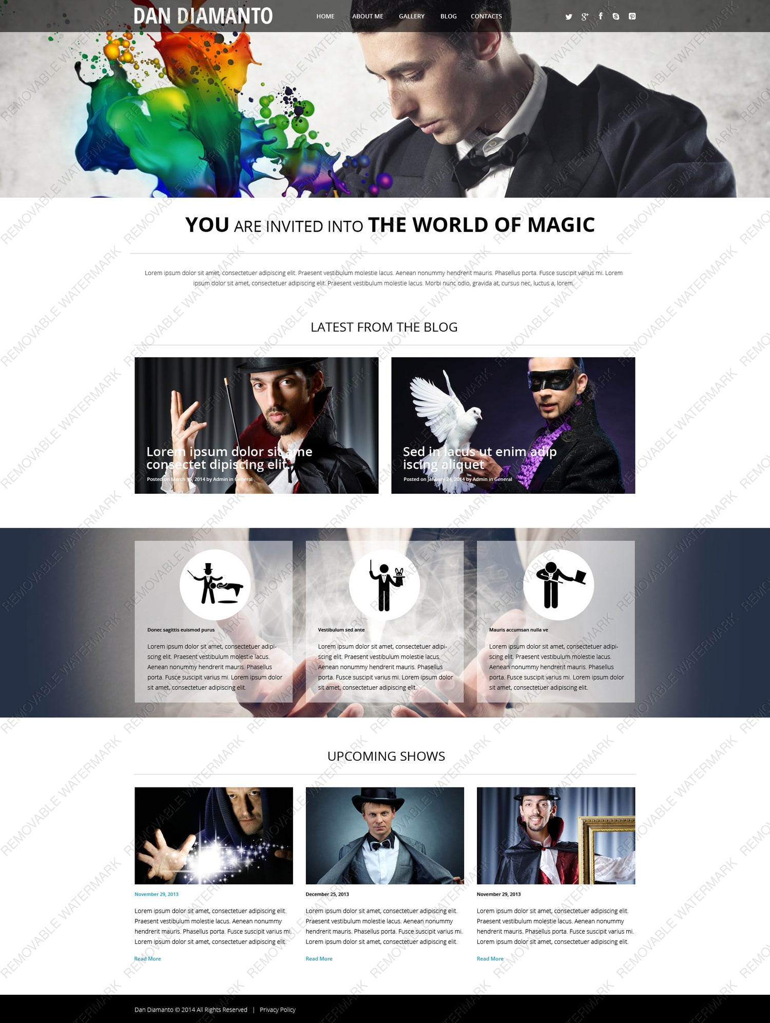 WordPress Themes - GoWebBaby.Com