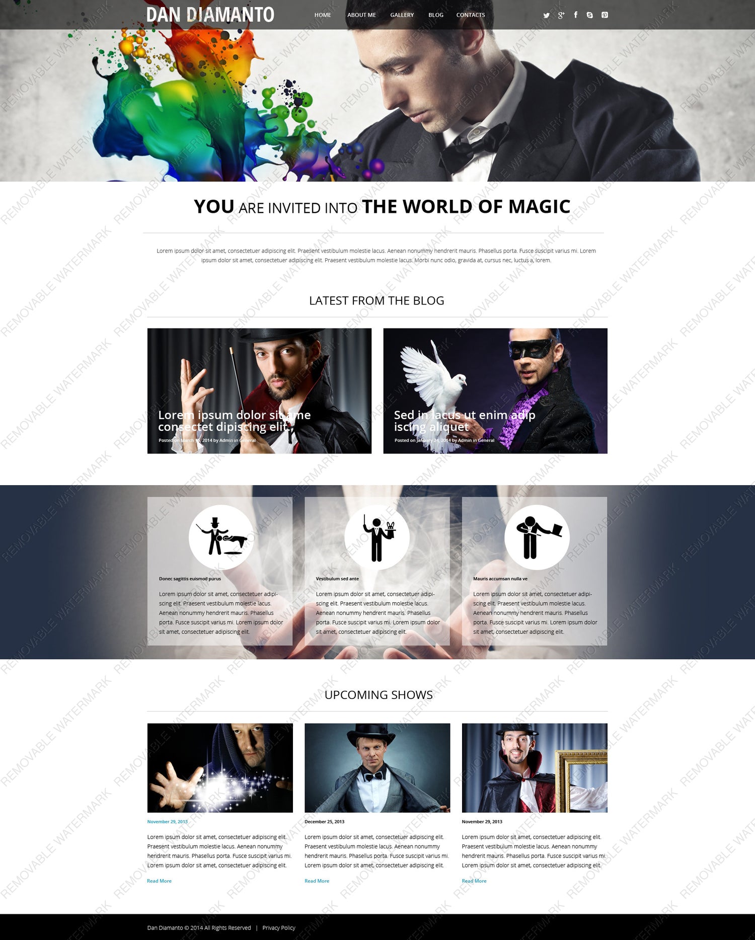 WordPress Themes - GoWebBaby.Com