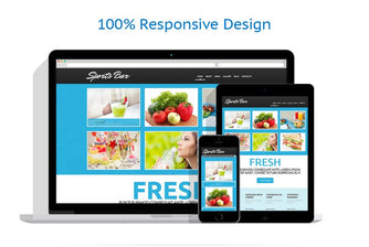 WordPress Themes - GoWebBaby.Com