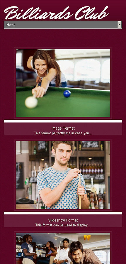 WordPress Themes - GoWebBaby.Com