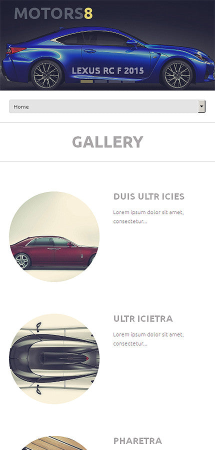 WordPress Themes - GoWebBaby.Com