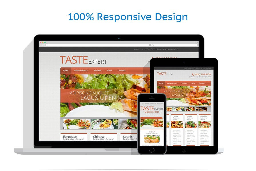 WordPress Themes - GoWebBaby.Com
