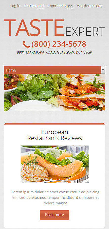 WordPress Themes - GoWebBaby.Com
