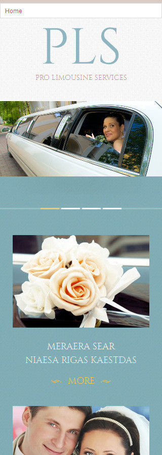 WordPress Themes - GoWebBaby.Com