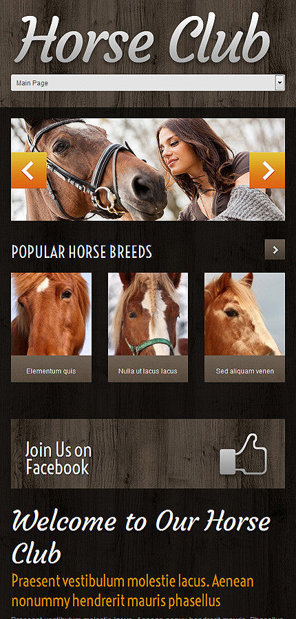 WordPress Themes - GoWebBaby.Com