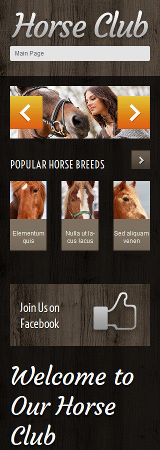 WordPress Themes - GoWebBaby.Com