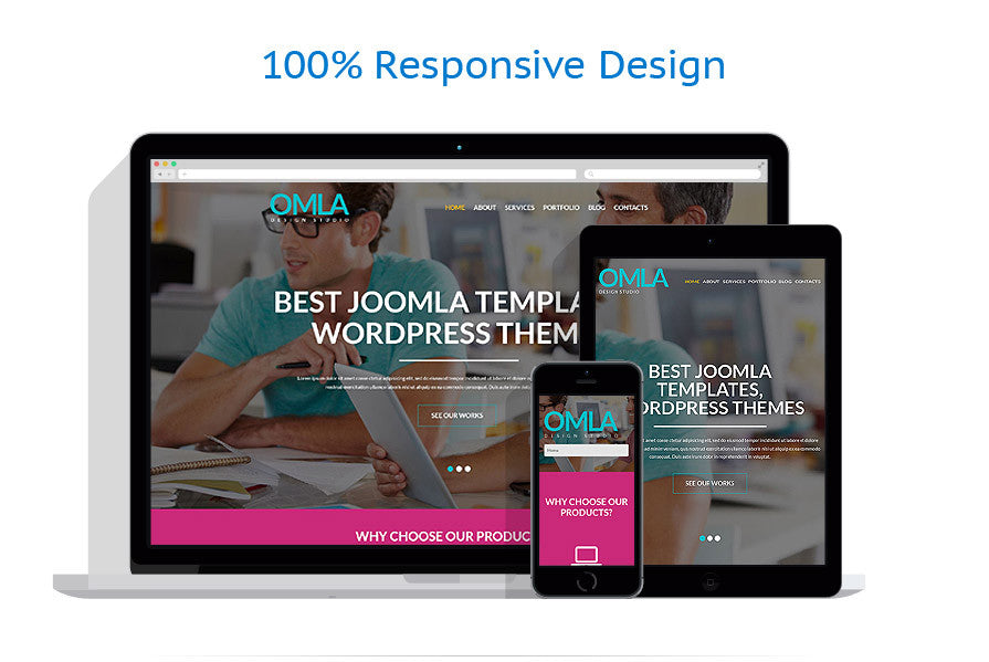 WordPress Themes - GoWebBaby.Com
