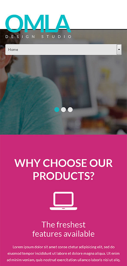WordPress Themes - GoWebBaby.Com