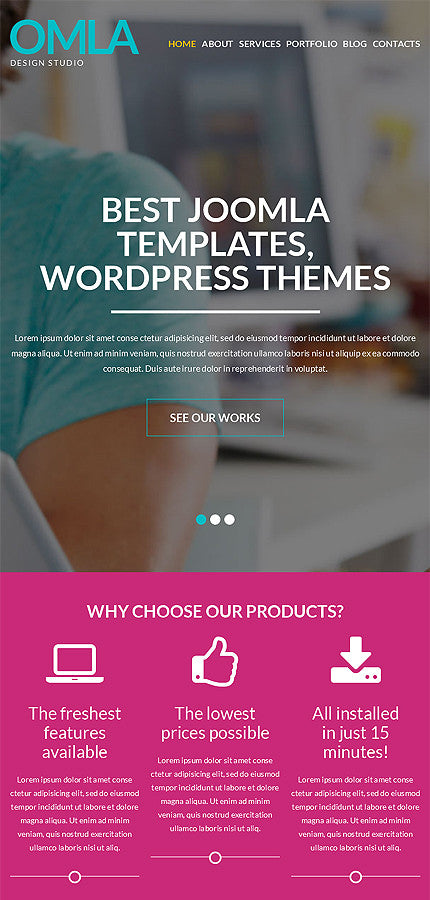 WordPress Themes - GoWebBaby.Com