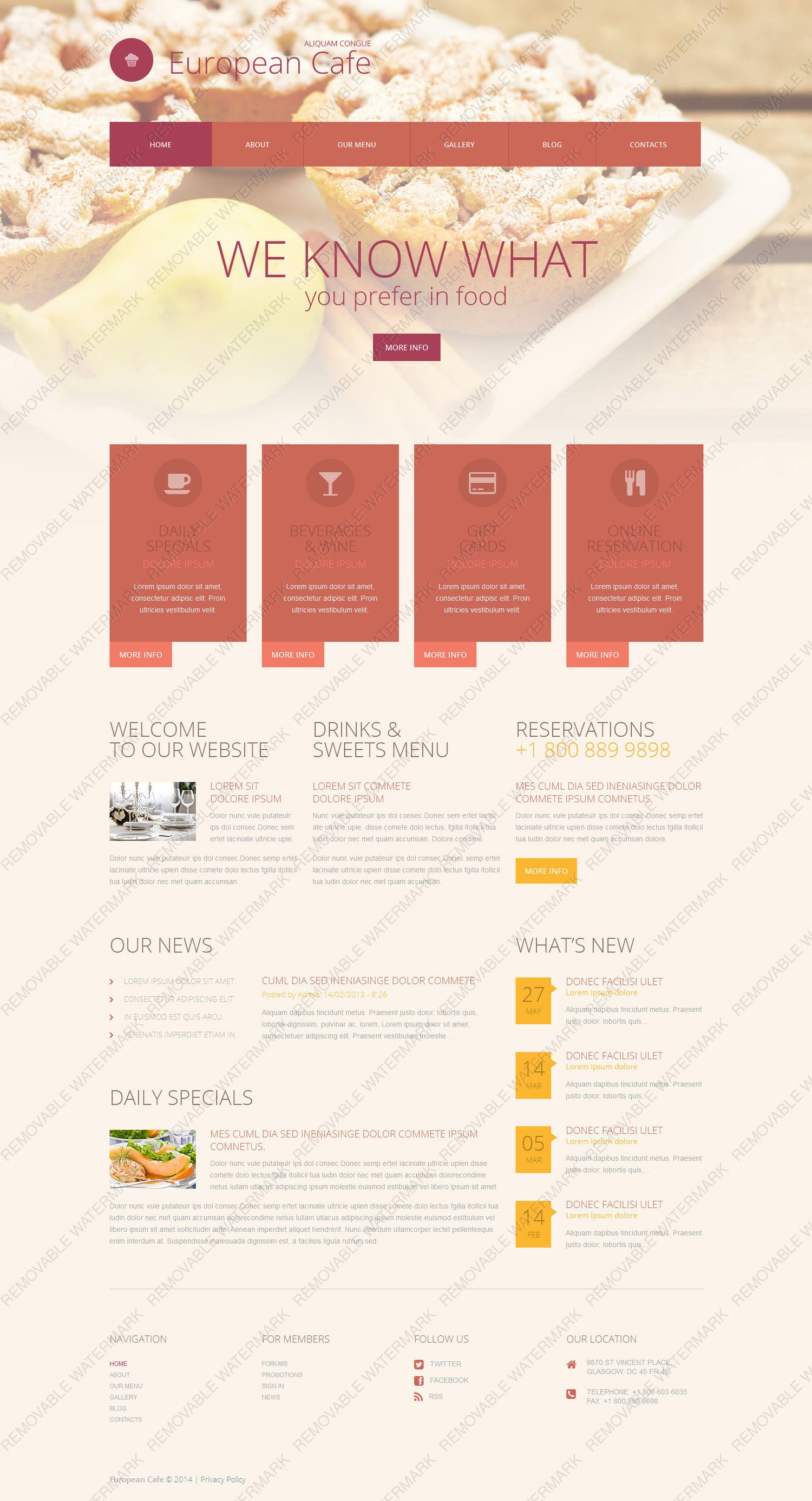 WordPress Themes - GoWebBaby.Com