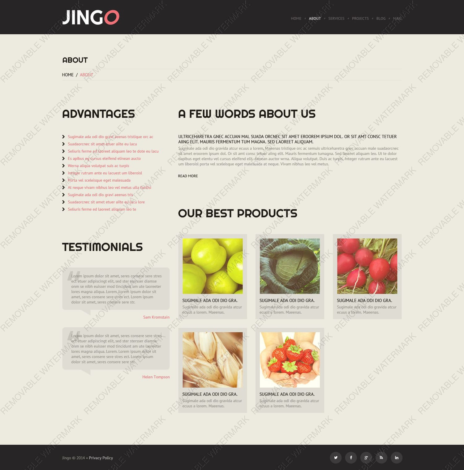 WordPress Themes - GoWebBaby.Com