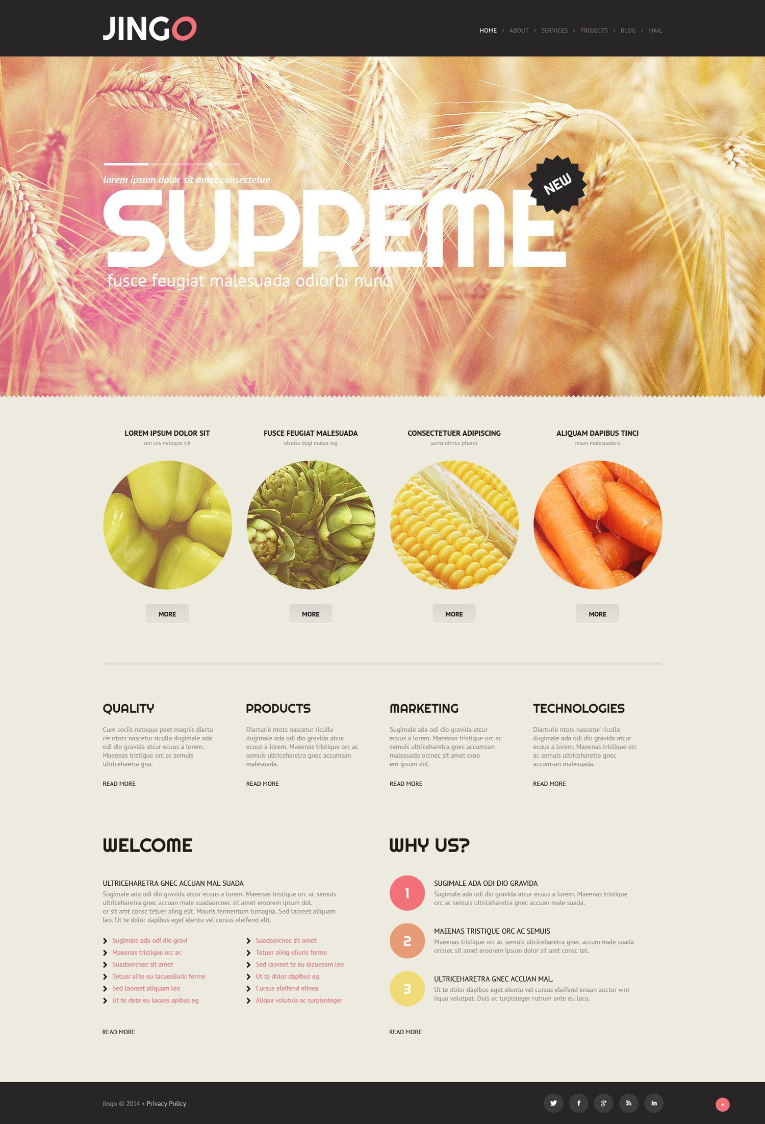 WordPress Themes - GoWebBaby.Com