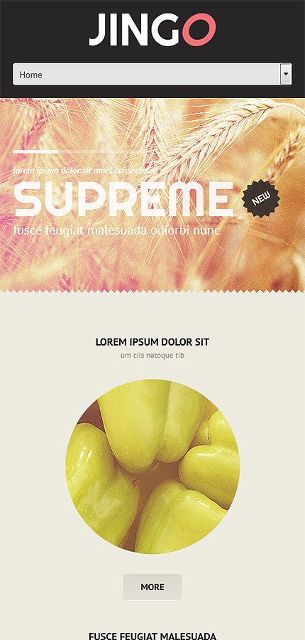 WordPress Themes - GoWebBaby.Com