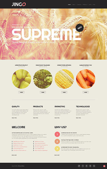 WordPress Themes - GoWebBaby.Com