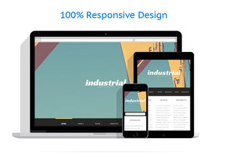 WordPress Themes - GoWebBaby.Com