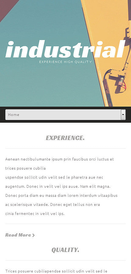 WordPress Themes - GoWebBaby.Com