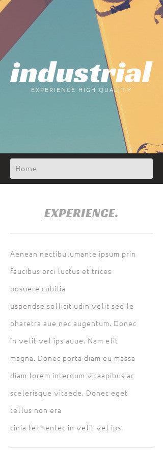 WordPress Themes - GoWebBaby.Com