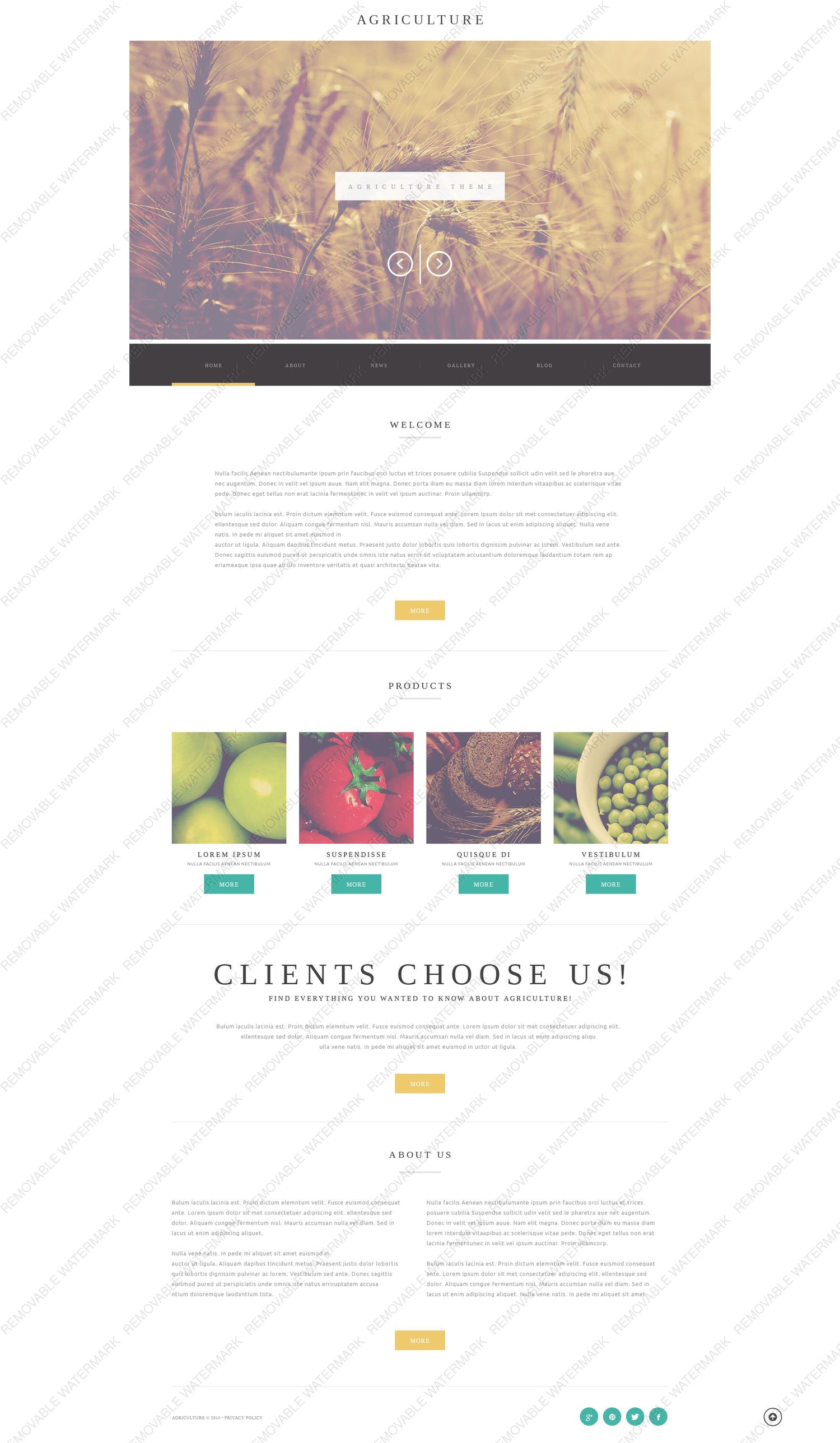 WordPress Themes - GoWebBaby.Com