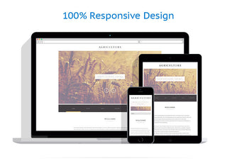 WordPress Themes - GoWebBaby.Com