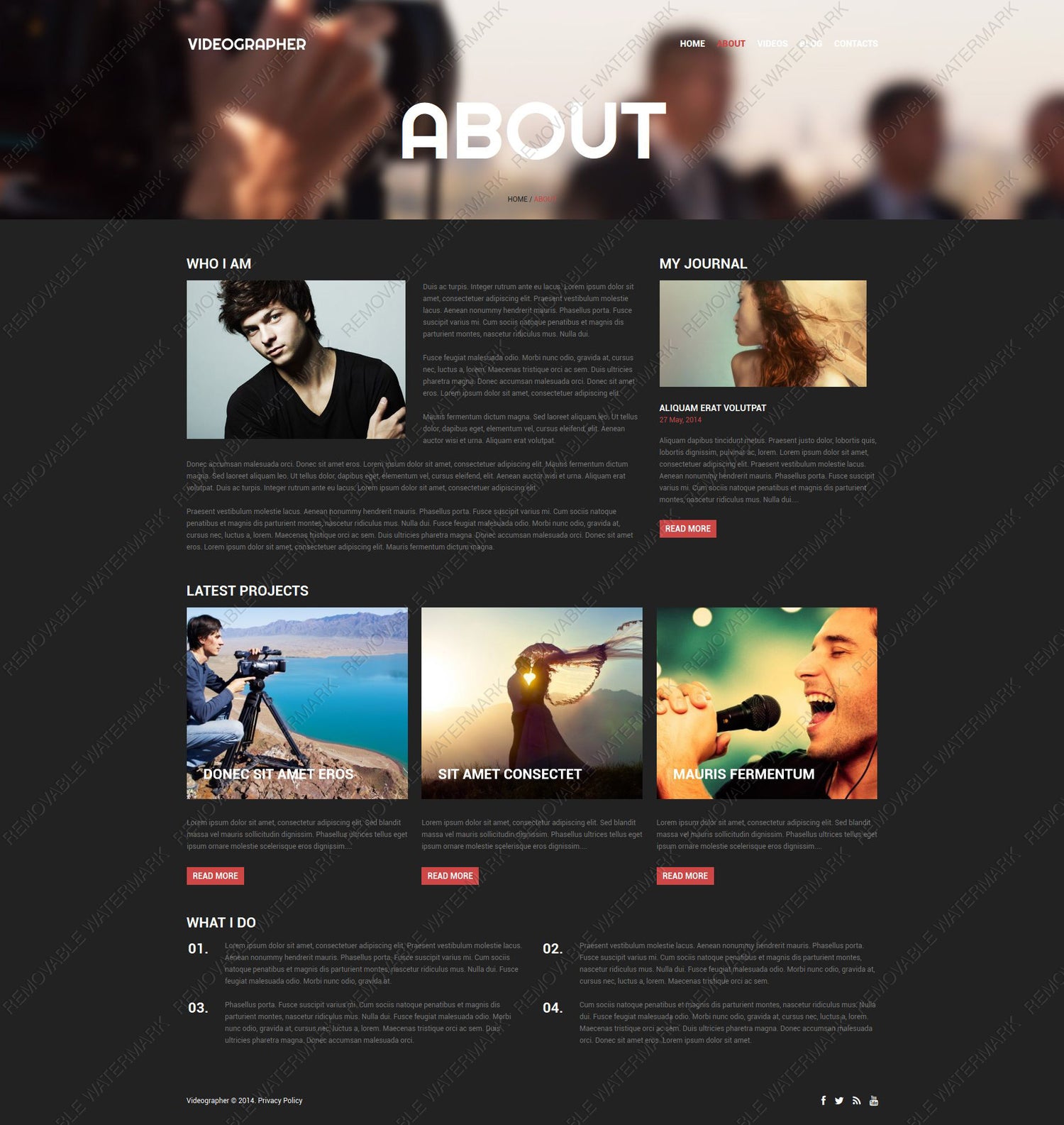 WordPress Themes - GoWebBaby.Com