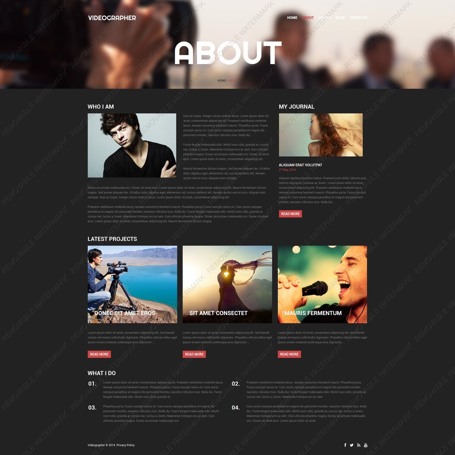 WordPress Themes - GoWebBaby.Com