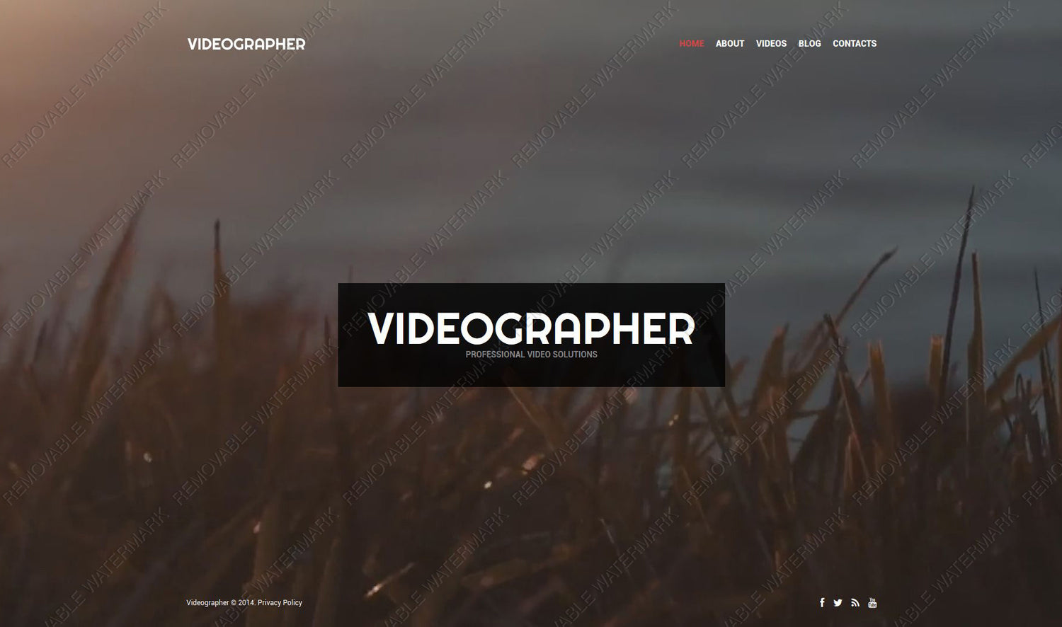 WordPress Themes - GoWebBaby.Com