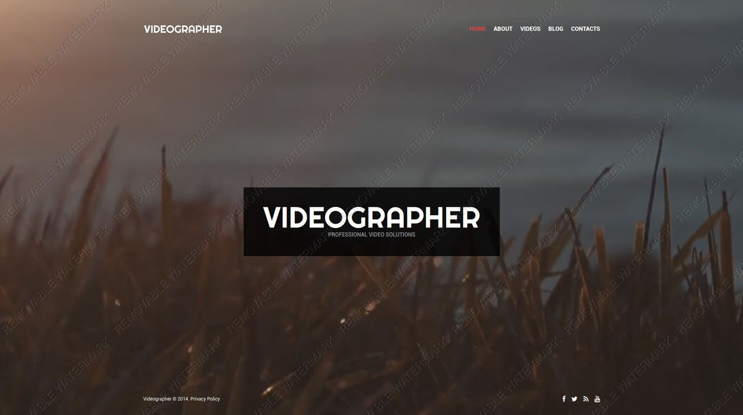 WordPress Themes - GoWebBaby.Com