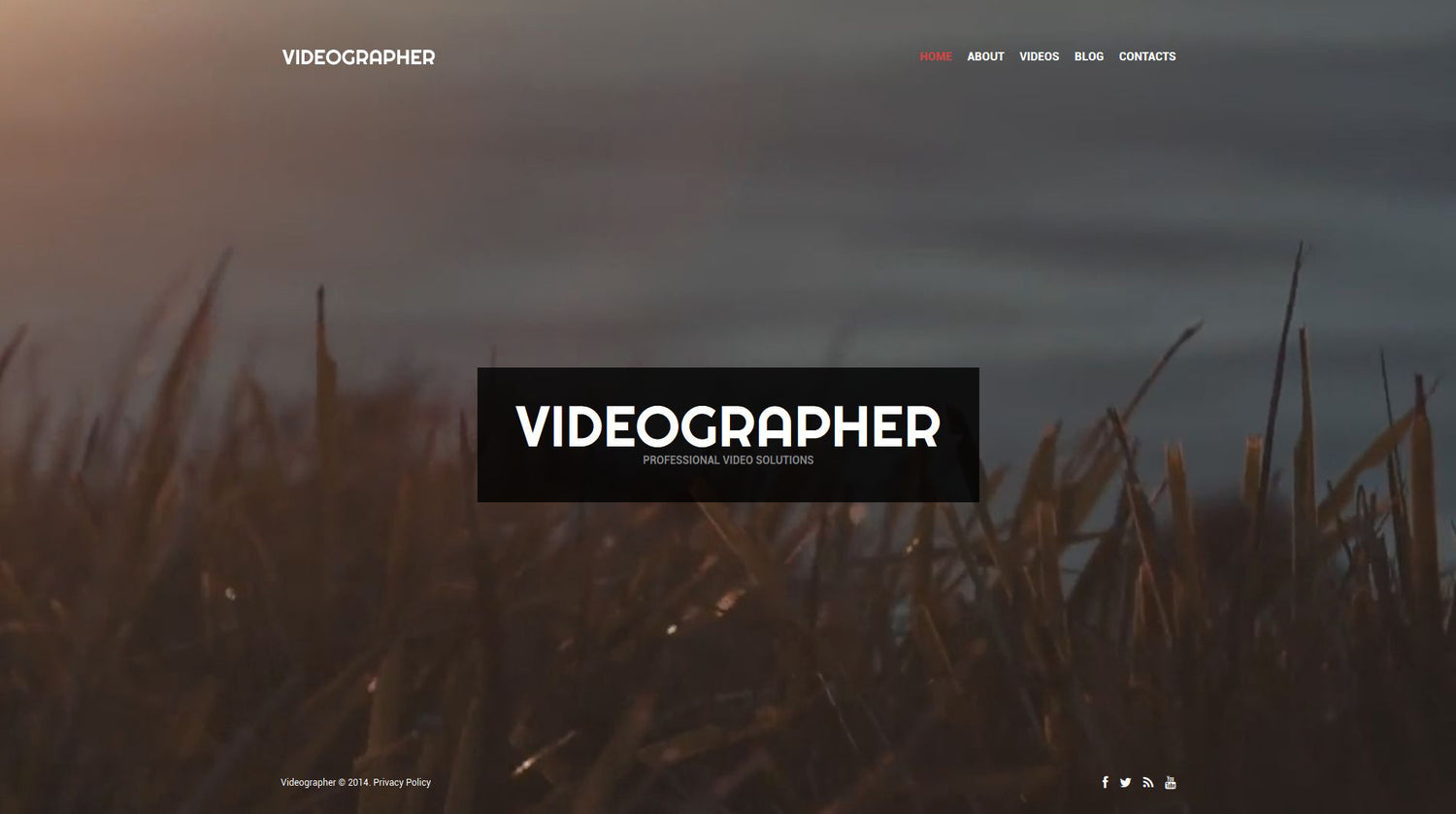 WordPress Themes - GoWebBaby.Com