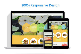 Shopify Themes - GoWebBaby.Com
