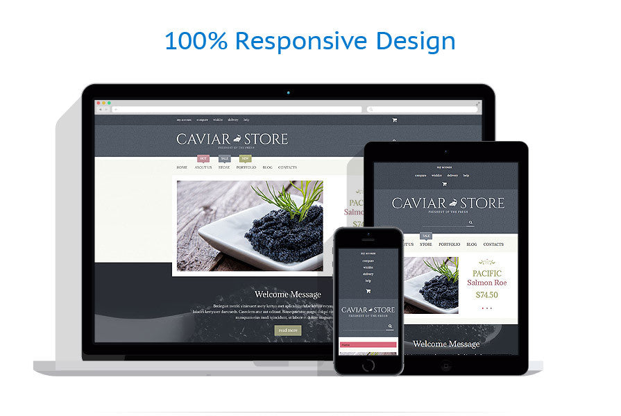 WooCommerce Themes - GoWebBaby.Com