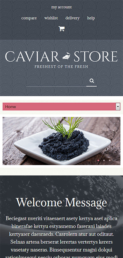 WooCommerce Themes - GoWebBaby.Com