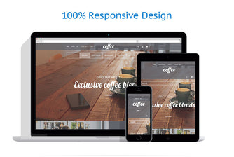 Shopify Themes - GoWebBaby.Com