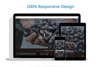 WooCommerce Themes - GoWebBaby.Com