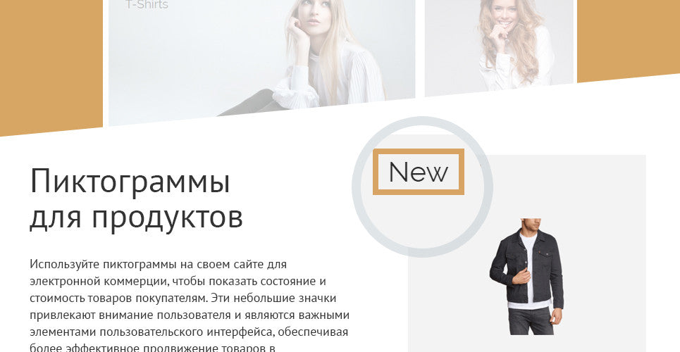 Shopify Themes - GoWebBaby.Com