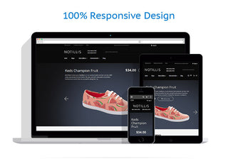 Shoe Store Magento Website Design - GoWebBaby.Com