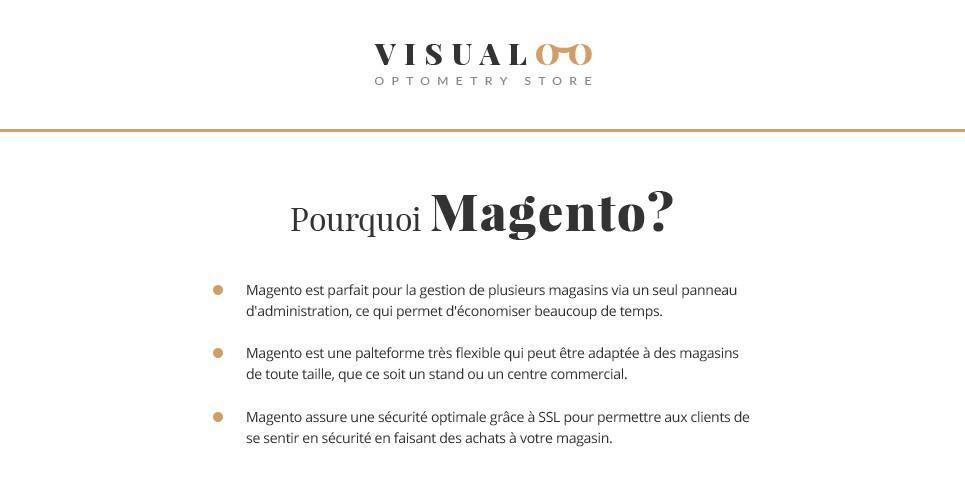 Eyewear Store Magento Website Design - GoWebBaby.Com