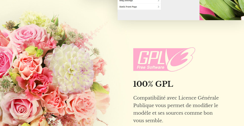 WooCommerce Themes - GoWebBaby.Com