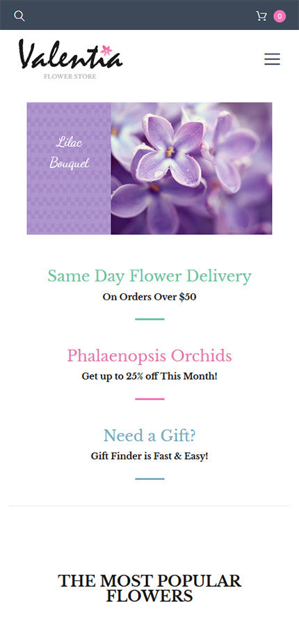 WooCommerce Themes - GoWebBaby.Com