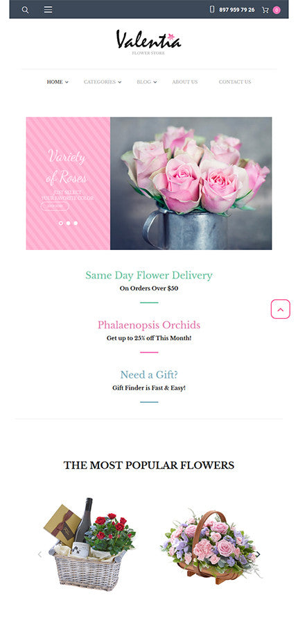 WooCommerce Themes - GoWebBaby.Com