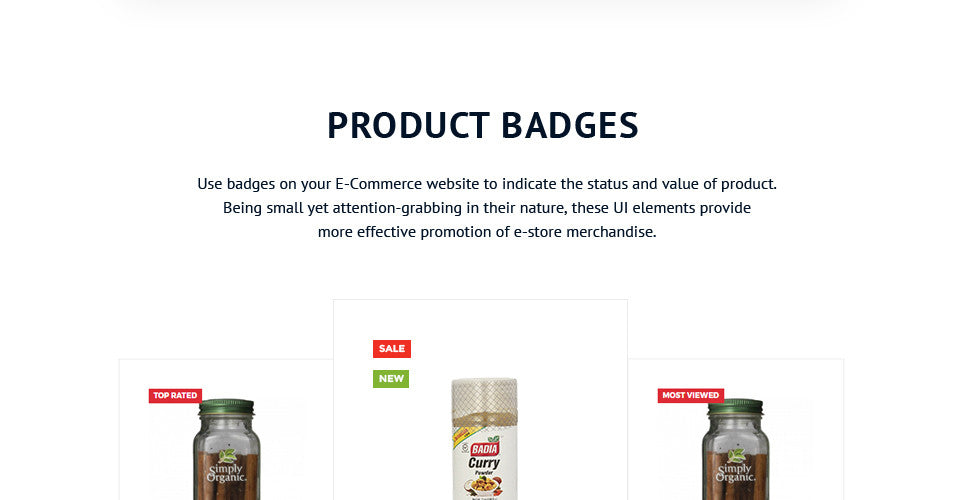 Spice Shop - Magento Website Design - GoWebBaby.Com